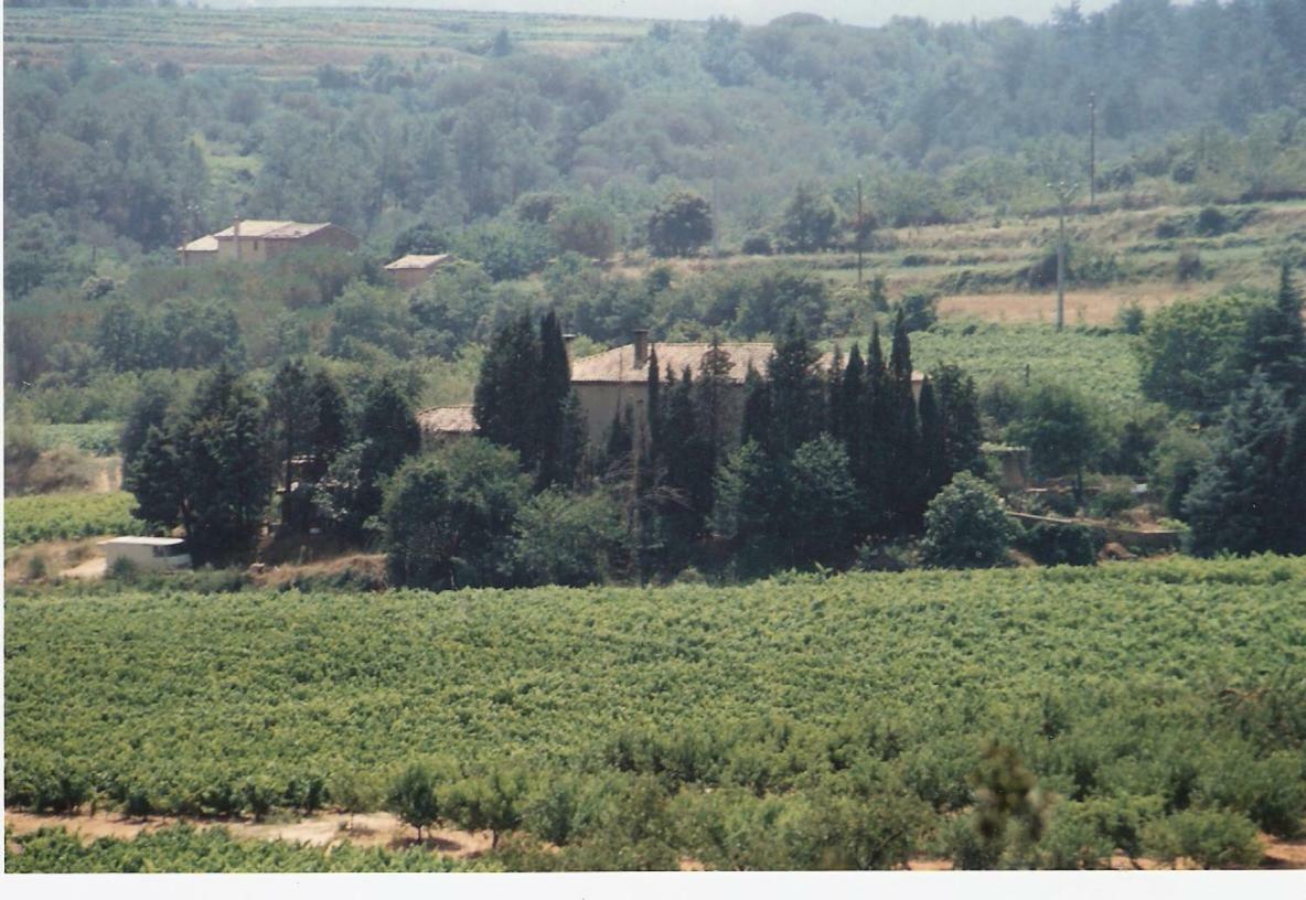 Domaine Chanoine Rambert Saint-Andre-d'Olerargues Buitenkant foto